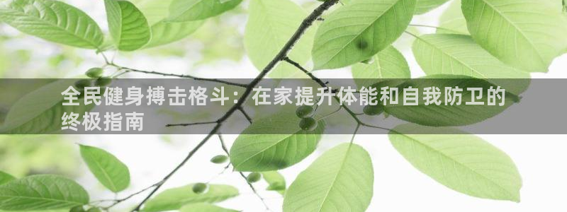 尊龙体育怎么样：全民健身搏击格斗：在家提升体能和自我防卫的
