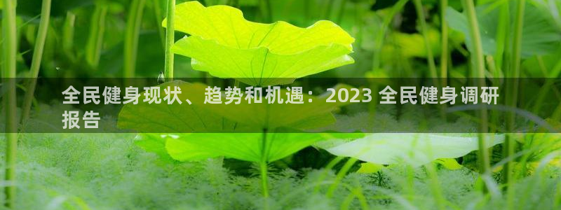 尊龙凯时网站赌愽是真的吗：全民健身现状、趋势和机遇：20